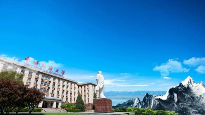 中国地质大学(中国地质大学武汉)