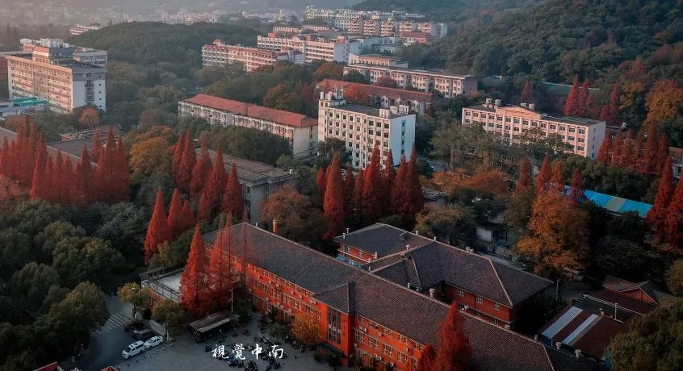 中南大学(中南大学信息门户)