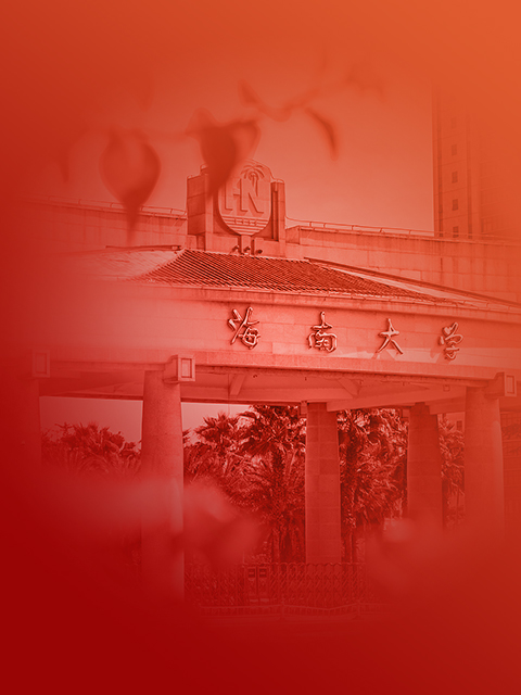 海南大学(海南大学官网)