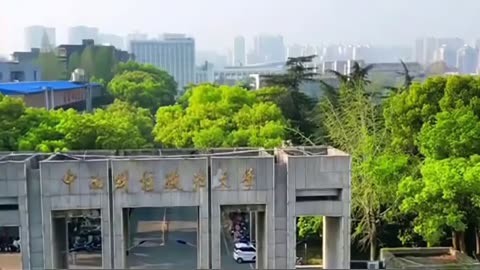 中南财经政法大学(中南财经政法大学自考官网)