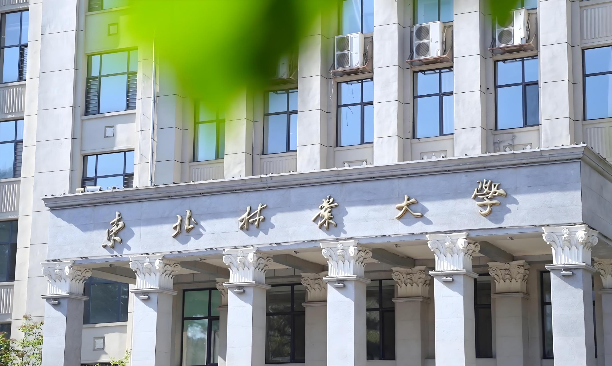 东北林业大学(东北林业大学官网)