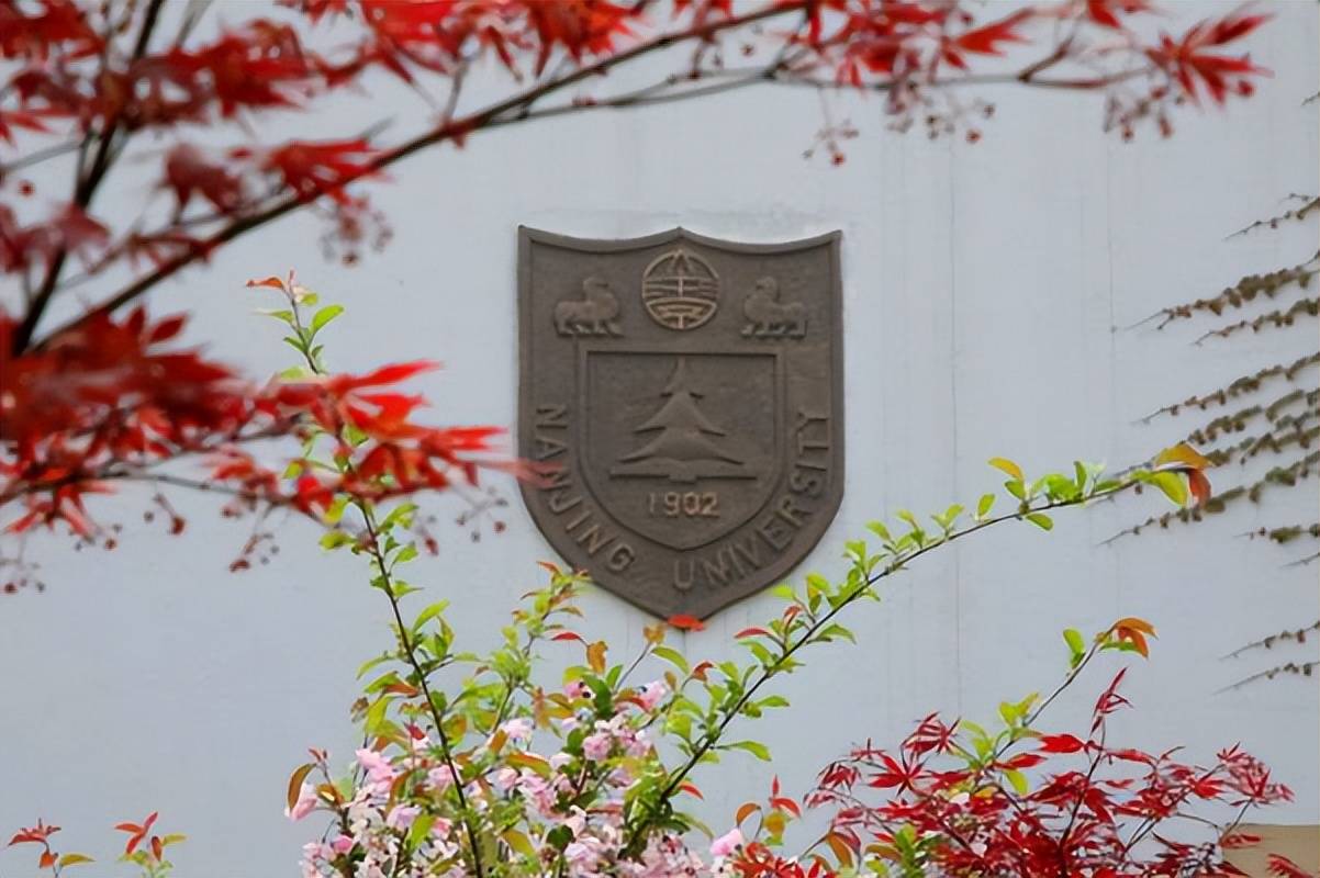 南京大学文凭(南京大学毕业文凭)