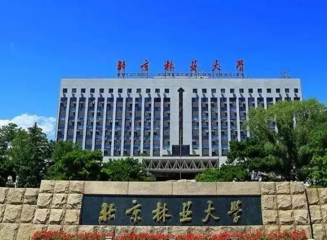 北京林业大学全国排名