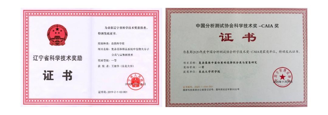 东北大学学历